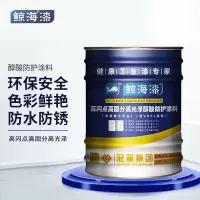鲸海 高闪点安全型醇酸防护涂料 管道栏杆防锈金属漆 白色 2.2kg