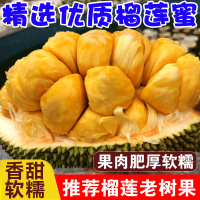 [西沛生鲜]海南榴莲蜜 5-6斤 应季热带新鲜水果手撕软糯香甜湿苞