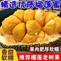 [西沛生鲜]海南榴莲蜜 5-6斤 应季热带新鲜水果手撕软糯香甜湿苞