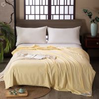 蚕花娘娘全涤磨毛面料 99%桑蚕丝风雅赋夏被500g 200*230