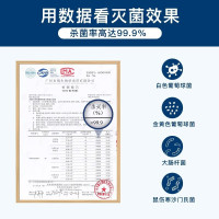 摩飞电器 消毒刀架砧板刀具消毒机家用小型筷子筒紫外线消毒机烘干器 菜板分类厨具MR1001