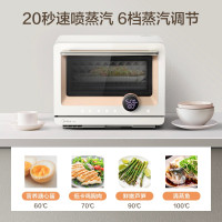 美的(Midea) PG2010W 家用微蒸烤一体机 微波炉蒸箱烤箱智能远程操控 mini微蒸烤