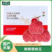 [苏鲜生]海南火山荔枝王 新鲜水果 甜美多汁 带箱5斤装 当季新鲜水果