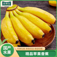 [苏鲜生]国产苹果香蕉 净重3斤装 美人蕉 孕妇水果宝宝辅食 新鲜当季苹果香蕉 国产热带水果