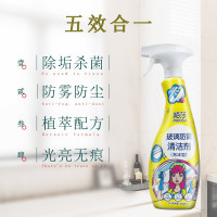 陌莎(mosha) 玻璃防雾清洁剂(泡沫型)500ML