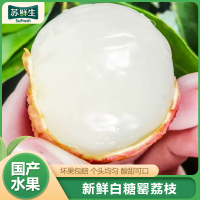 [苏鲜生]新鲜白糖罂荔枝 新鲜荔枝热带水果 净重4.5斤 单果17g+ 箱装 甜美多汁