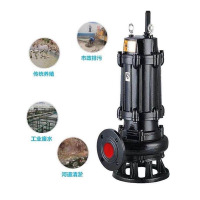 潜水泵及配套水带 /65wQ30-40-7.5