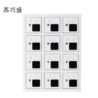 苏兴盛手机存放柜充电柜12门