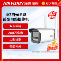 海康威视200万4G白光全彩筒型网络摄像机+32G内存卡 高清监控器 监控摄像头室内外网络摄像机户外探头安防设备