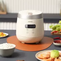 大宇(DAEWOO)电饭煲小型家用多功能迷你电饭煲电饭锅 DYFB-205H DYFB-205H