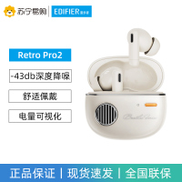 EDIFIER/漫步者Retro Pro2主动降噪蓝牙耳机真无线半入耳式游戏运动男女生款花再2023新款 云岩白