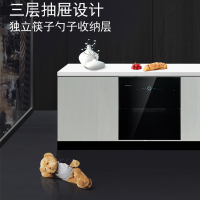 AIER爱尔家用消毒柜ZTD110Z-X006