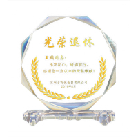 佳妍 奖杯定制 水晶奖杯纪念品礼物奖杯16*18CM