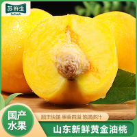 [苏鲜生]顺丰快递 山东新鲜黄金油桃 新鲜水果桃子 产地直发 净重4.5斤装