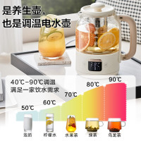 小熊迷你养生壶YSH-C08Z5 养生杯煮茶器 316不锈钢办公室家用便携煮茶壶恒温烧水壶小型花茶壶0.8升