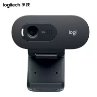 罗技(Logitech)C505e高清摄像头 家用摄像头 电脑摄像头 台式机摄像头 网络课程会议摄像头
