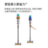 戴森(Dyson)无绳吸尘器V12 Detect Slim Fluffy轻量手持无线吸尘器小型家用 除螨大 激光探测蓝色