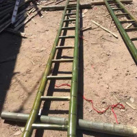 竹梯毛竹梯子竹子5米家用电力直梯