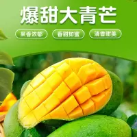 [西沛生鲜] 新鲜大青芒 当季 带箱9斤 单果450g+ 整箱新鲜现摘热带时令水果甜心芒应季芒果