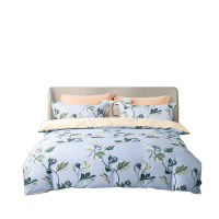 博洋(BEYOND) 紫苑倾心床品四件套