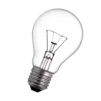 老式白炽灯泡 卡口普通钨丝灯泡装修工程养殖取暖专用220V E27螺口 40W 黄光(100只装)