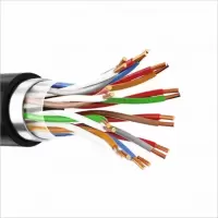 工霸 电话缆 20对 0.5无氧铜 1米 (货期3-5天)