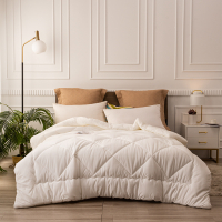 博洋(BEYOND)-雪花绒暖肤被