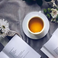 乌龙茶无糖0糖0能量0脂15瓶