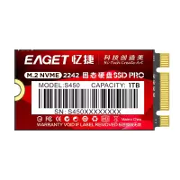 忆捷(EAGET)S450 1TB(2242、NVME协议、PCIE通道)