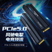 梵想2TB SSD固态硬盘M.2接(NVMe协议 PCIe5.0 独立缓存高速游戏电竞S900读速高达10000MB/S