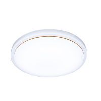 吸顶灯 带灯罩一套/25直径,18瓦