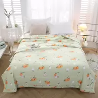 悠梦嘉居 橙芯如意润肤被YB-13130(150*200CM)