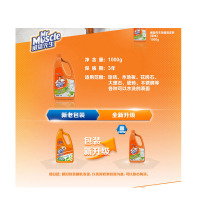 威猛先生(Mr Muscle)家庭地板清洁用品地面瓷砖清洁剂(草本香型)1kg/瓶