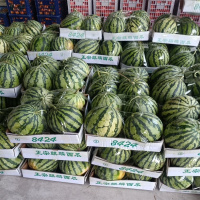 瑞翔推荐 麒麟西瓜 30斤装(箱)