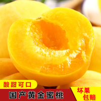 [西沛生鲜]顺丰快递 山东新鲜黄桃 新鲜水果桃子 产地直发 净重4.5斤装