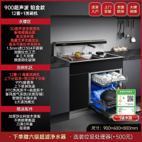 荣事达(Royalstar)集成水槽洗碗机一体机12套百斯特洗碗机大容量带上下分层洗独立烘干消毒