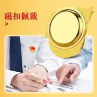 递乐 标准款胸章 磁扣党员徽章 为人民服务大磁扣款 5391大磁扣款(20个)