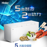 海尔(Haier)冰柜商用大容量829升 冷藏冷冻转换双门超低温冷柜 电子温控深冷速冻保鲜柜BC/BD-829HEZ