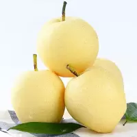 皇冠梨(冷库果) 5斤净重大果 单果200g+ 1箱