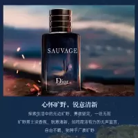 迪奥(Dior)旷野男士香水男持久留香生日礼物男送男朋友情人节礼物 旷野男士淡香水(100ml)