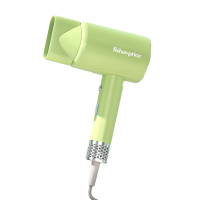 费雪 电吹风FP-DCF2001