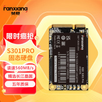 梵想512GB SSD固态硬盘 mSATA接口长江晶圆TLC颗粒 S301PRO