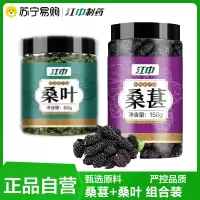 江中 桑叶+桑葚组合 霜打后桑叶新鲜采摘真材实料品质保证江中桑叶官方正品旗舰店