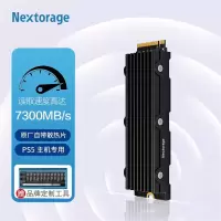 Nextorage SSD固态硬盘 M.2 2280 NVMe协议 1TB / 1000GB