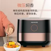 九阳电饭煲F-40FZ06