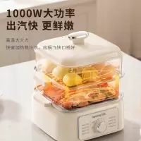 九阳电蒸锅DZ100HG-GZ175