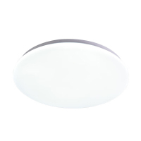 东君 LED24W吸顶灯