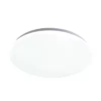 东君 LED24W吸顶灯