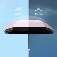 红叶(HONG Ye) 胶囊伞3569 珊瑚粉+胶囊盒