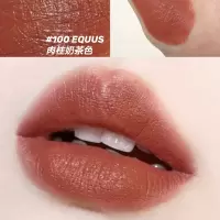 汤姆福特(Tom Ford) TF唇膏 新色黑金管口红 100#肉桂奶茶色 持久显色